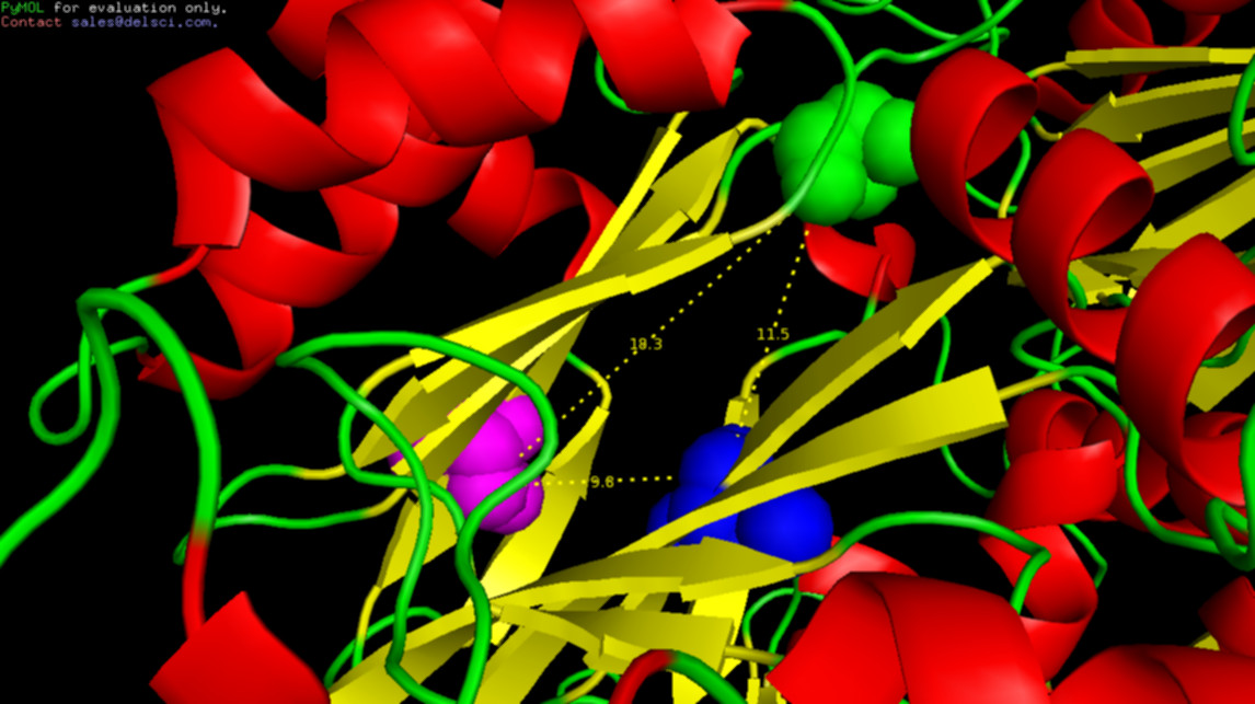 Subunidade alfa-5 do proteassomo 20S (levedura) (PDB Id 6H39)