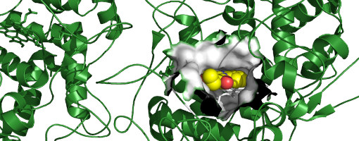 Forma dimérica da MPO mostrando o inibidor ZINC9089086 (amarelo) docado no sitio ativo da enzima (cinza). PDB 1CXP