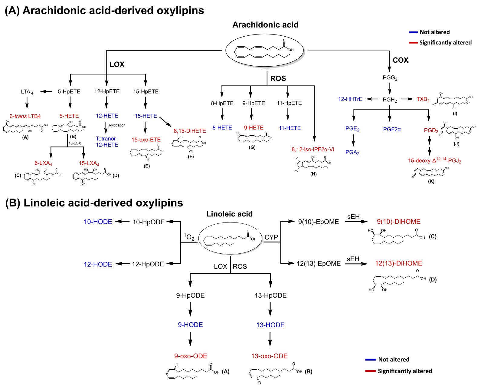 Oxilipinas derivadas do ácido araquidônico e ácido linoleico