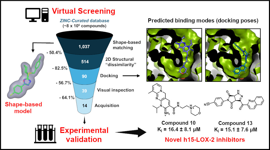 Virtual screening, experimental validation and predicted binding modes