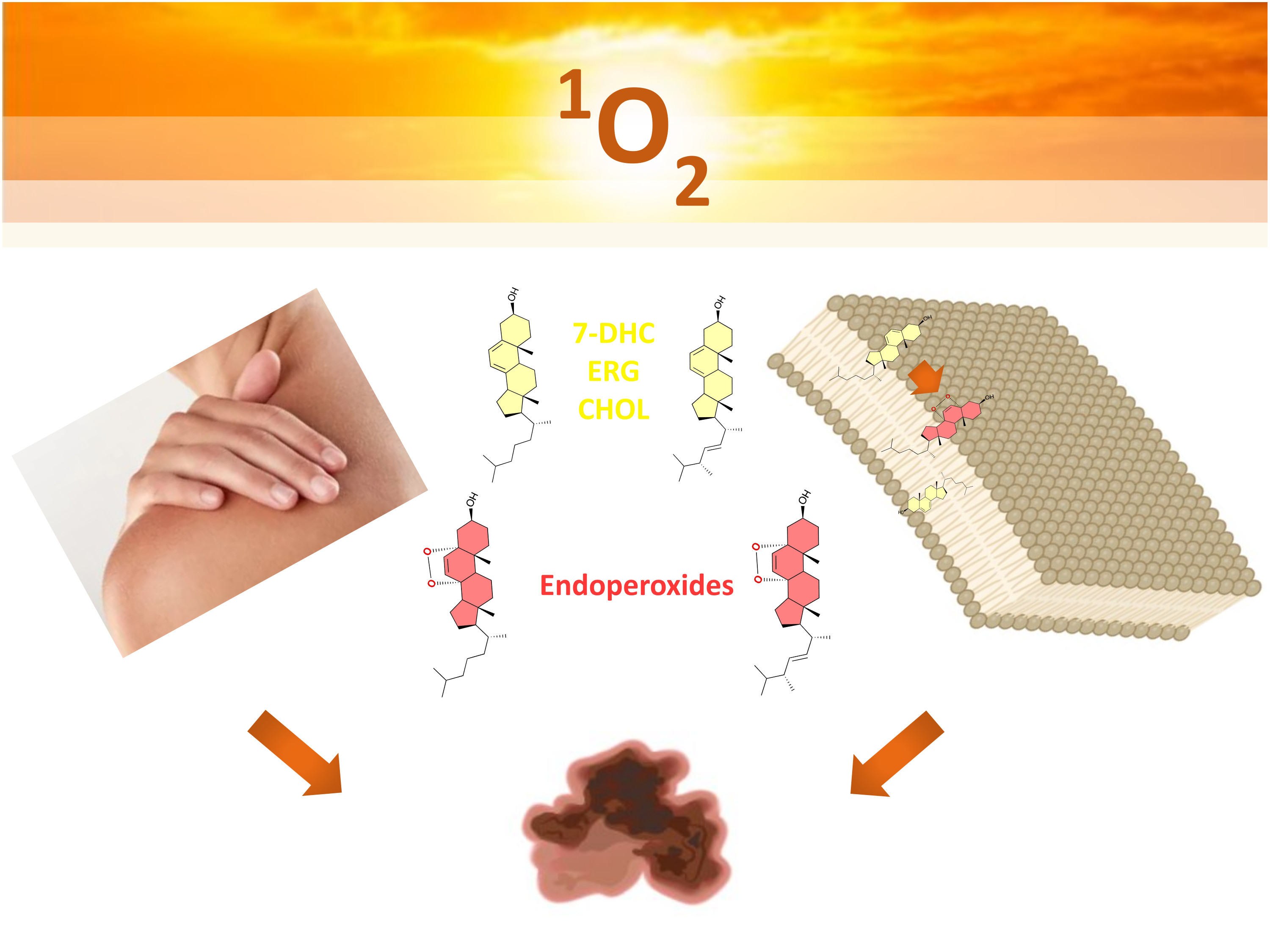 Endoperoxides